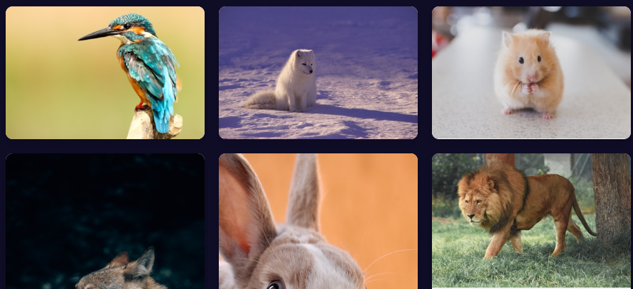 Image Search Engine Tool to Find Images Online