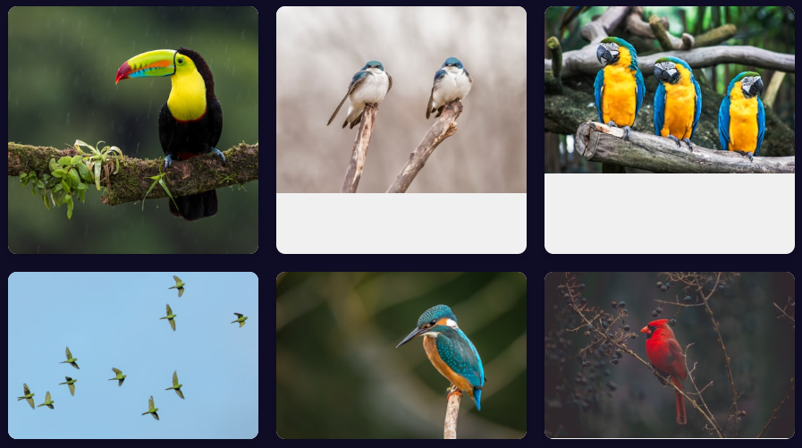 Online Reverse Image Search Engine Tool